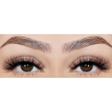 Load image into Gallery viewer, FAUX MINK STRIP LASHES- PASSION
